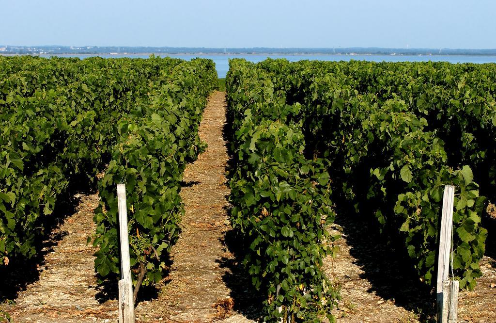 Vvf Soulac-Sur-Mer Bordeaux Medoc Kültér fotó